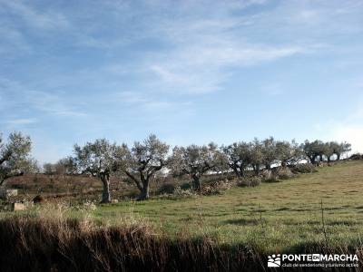 Parque Natural Arribes de Duero;viajes en fin de año viajes fin semana viaje naturaleza